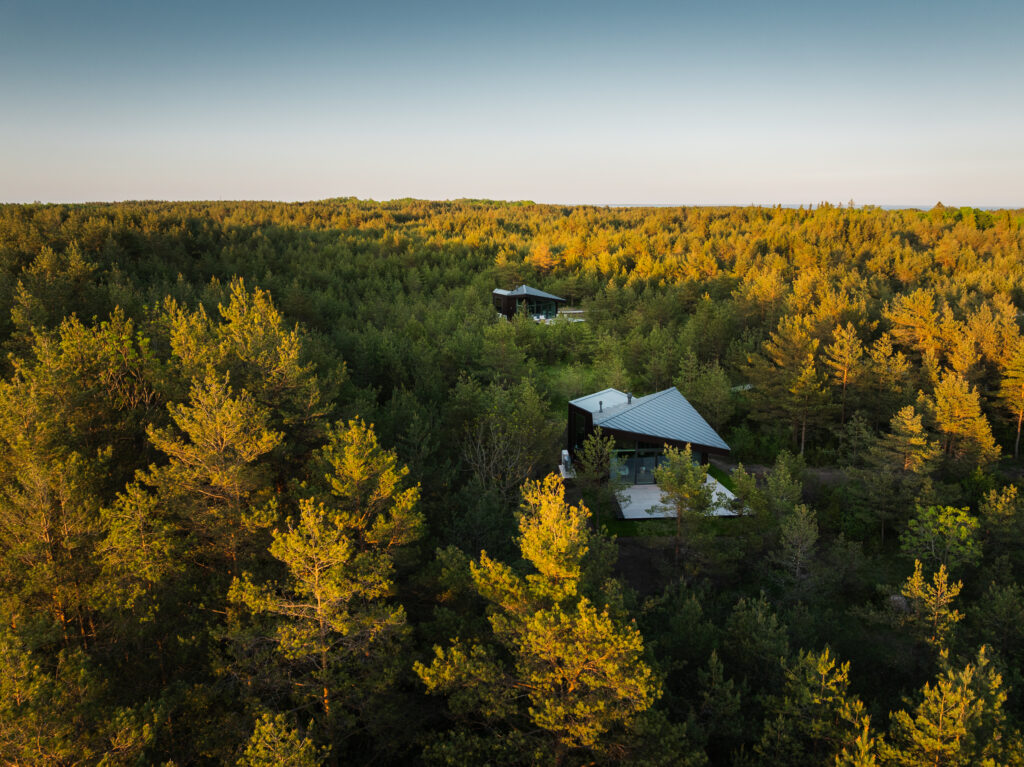 alt="Dharma Resort houses in the middle of forest"