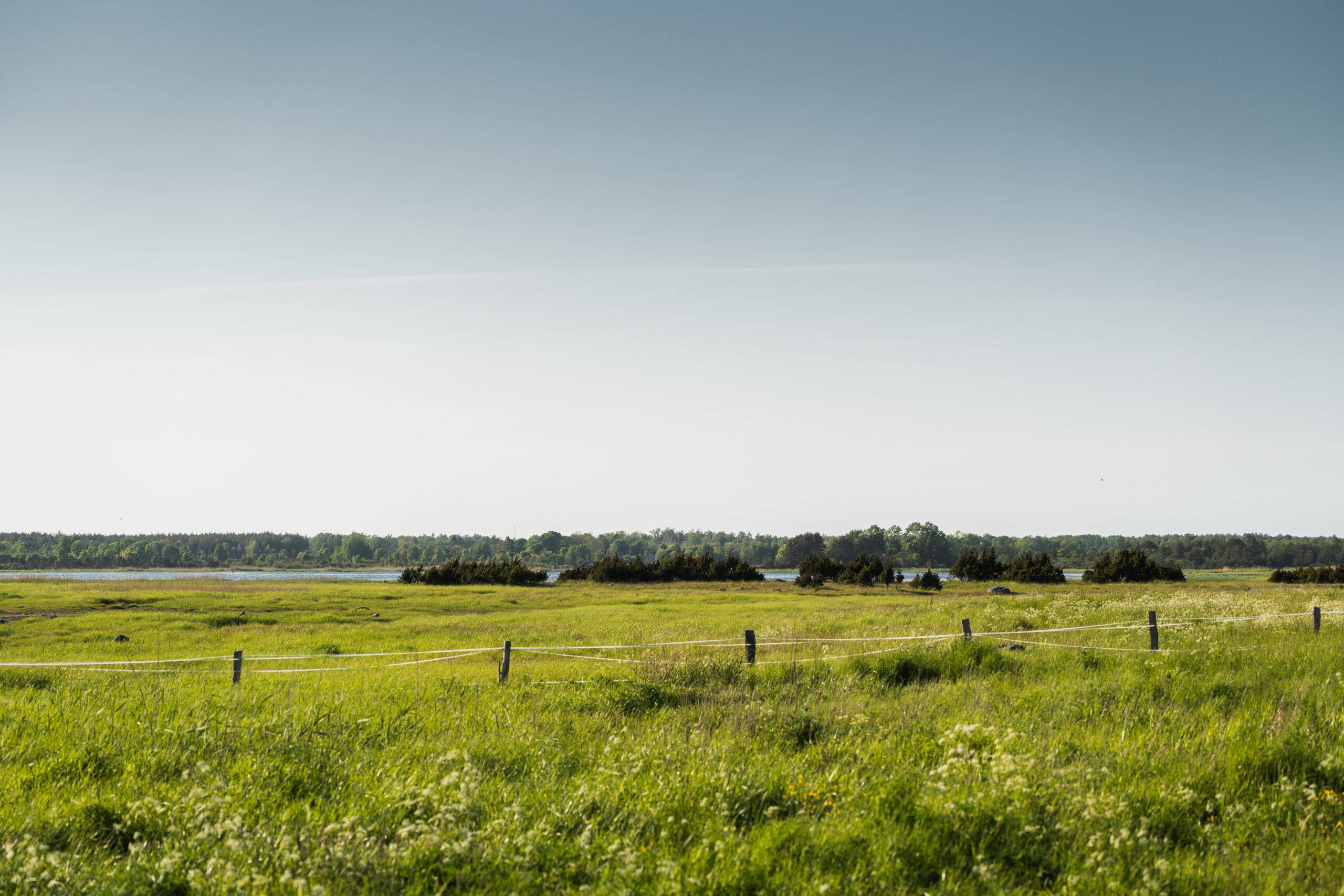 alt="Muhu island Estonia Dharma Resort"