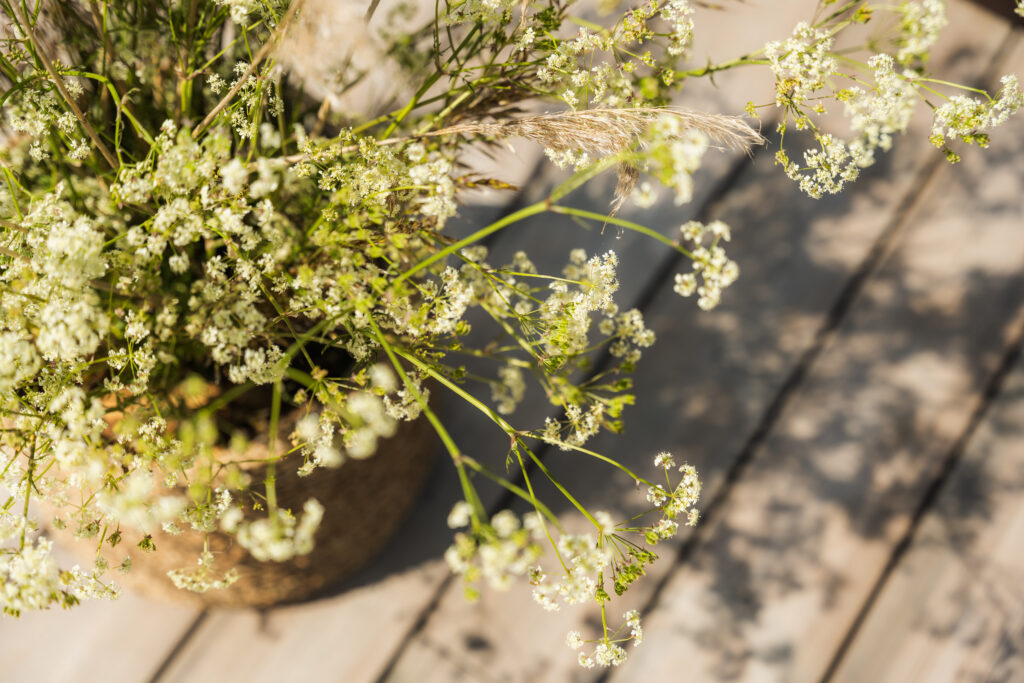 alt="Dharma Resort Nature Muhu Estonia"