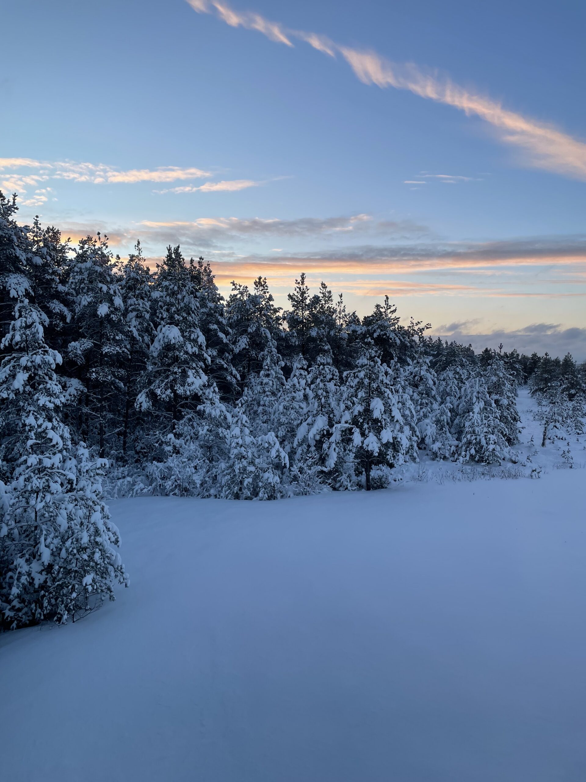 alt="Winter in Dharma Resort Muhu"