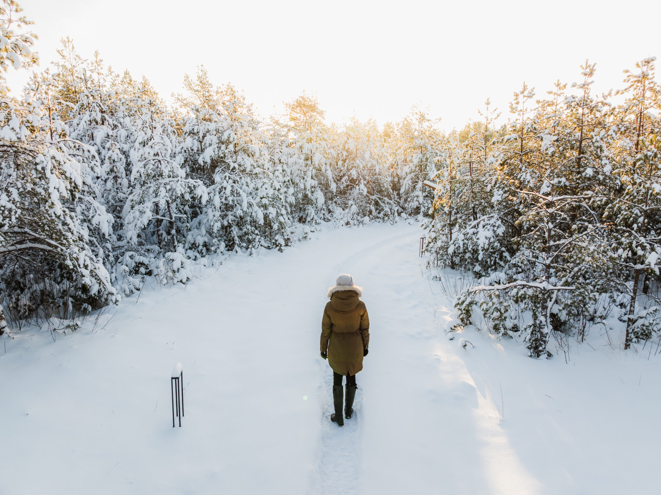 alt="Dharma Resort Muhu Winter"
