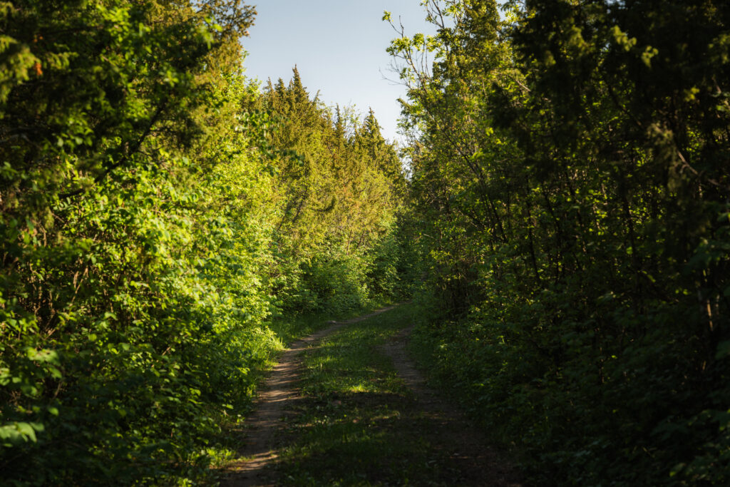 alt="Rässa village Dharma Resort Muhu Forest"
