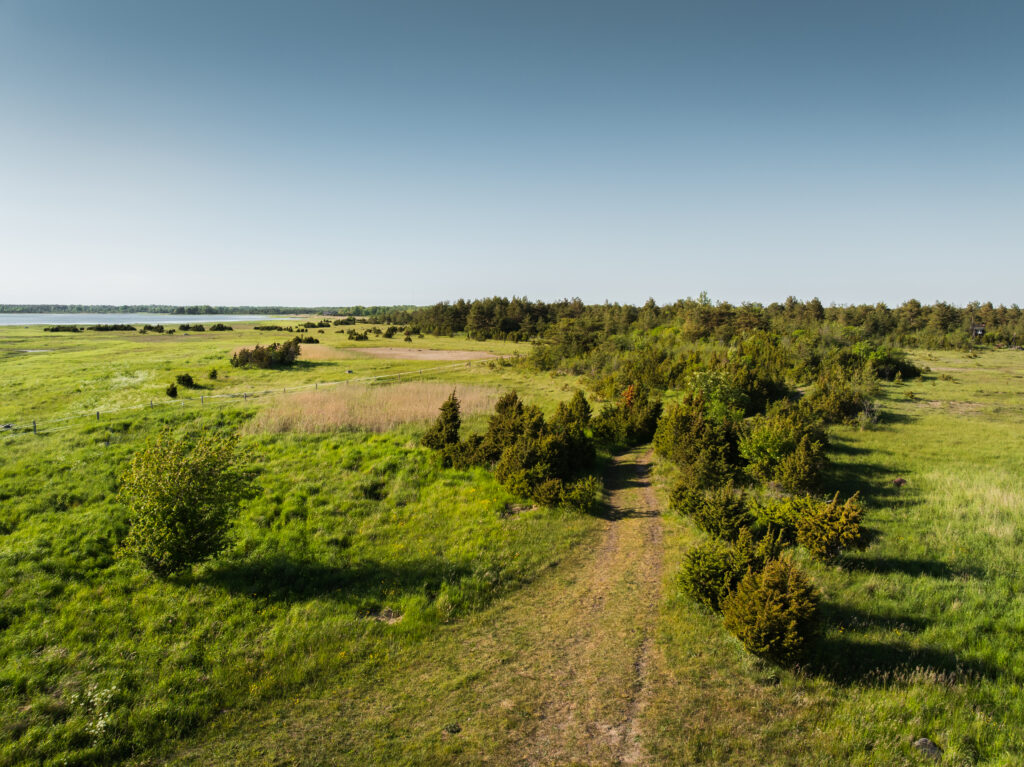 alt="Muhu island where Dharma Resort located"