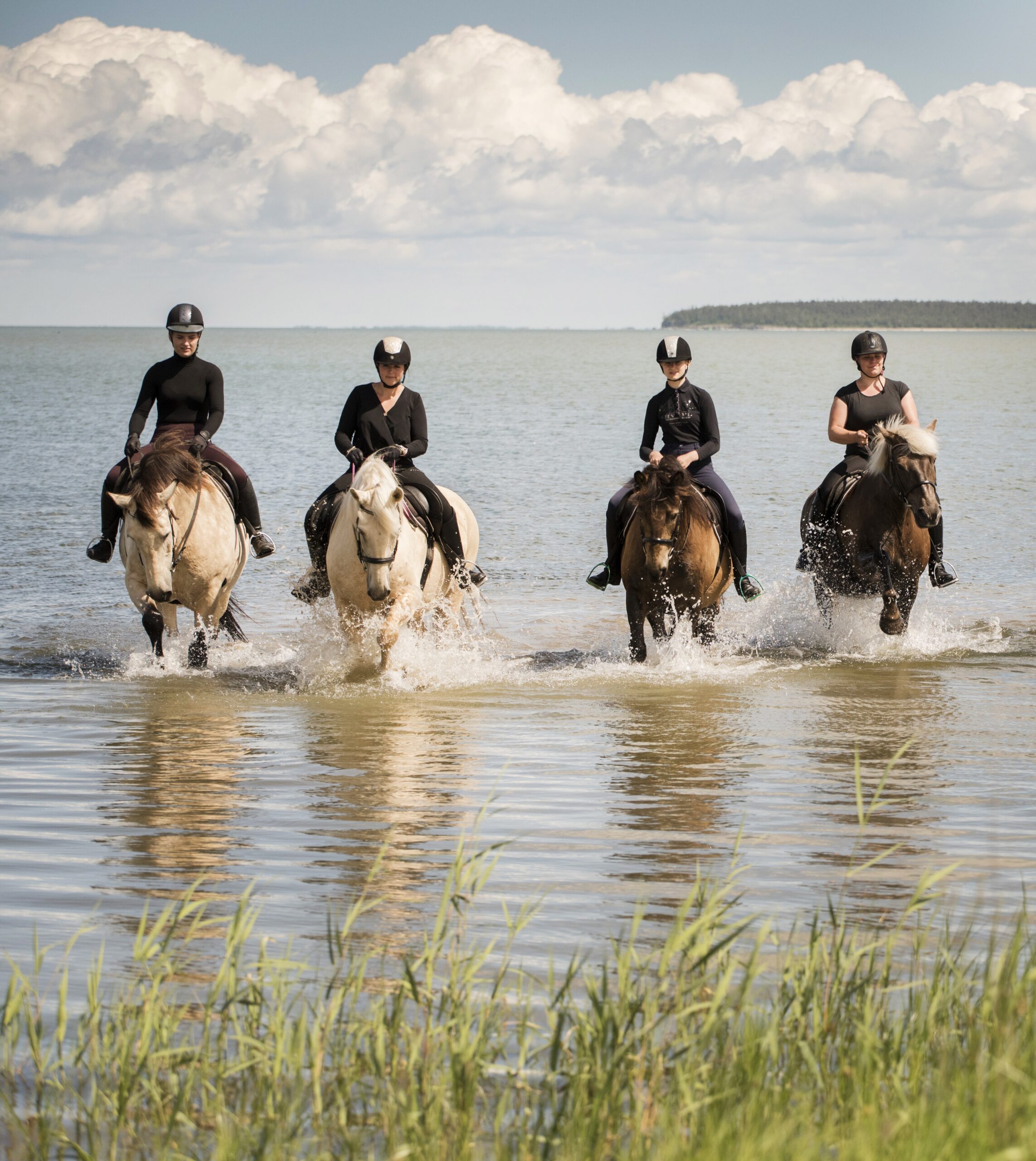 Alt=“Tihuse Horse riding Muhu”